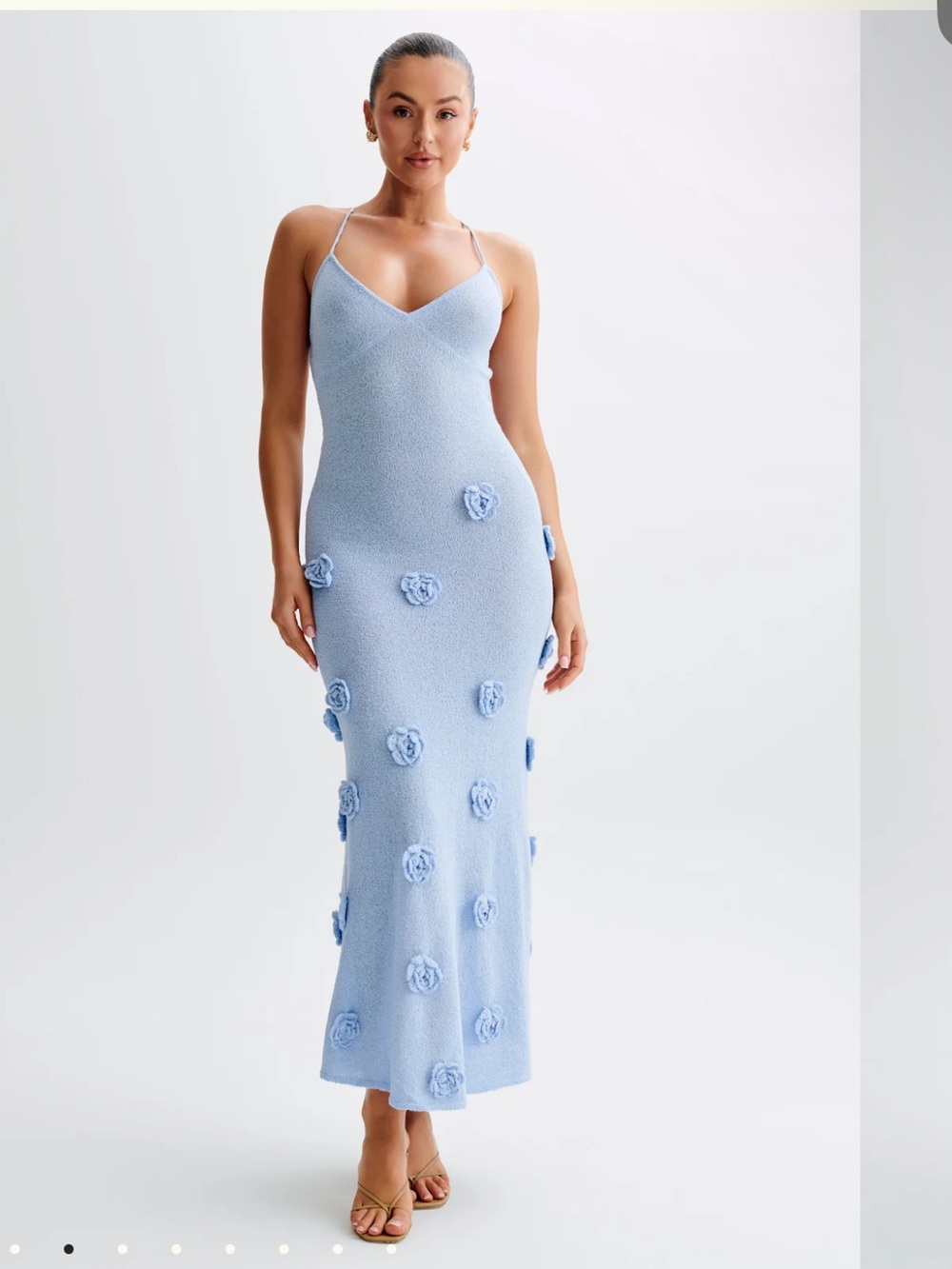 Meshki Powder Blue Floral Appliqué Maxi Dress
